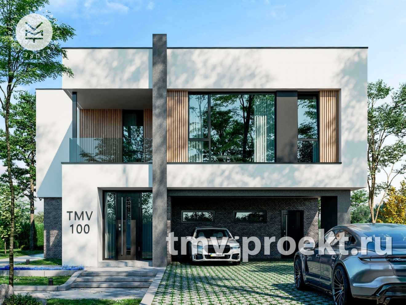 Проект TMV100