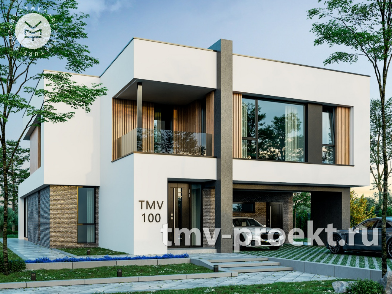 Проект TMV100