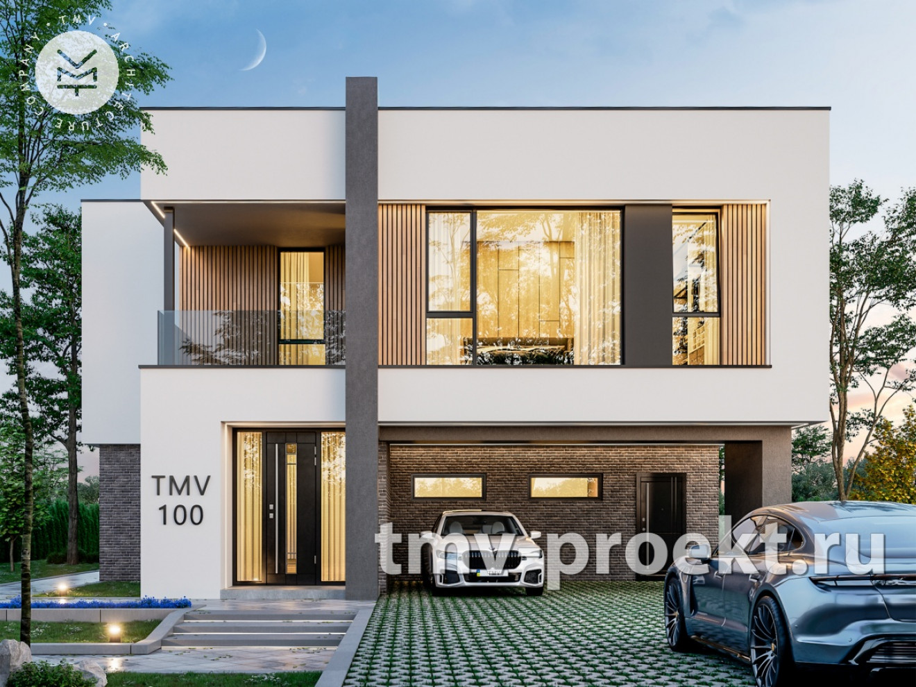 Проект TMV100
